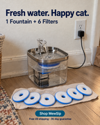 MewSip cat water fountain plugged in against the wall with 6 replacement filters