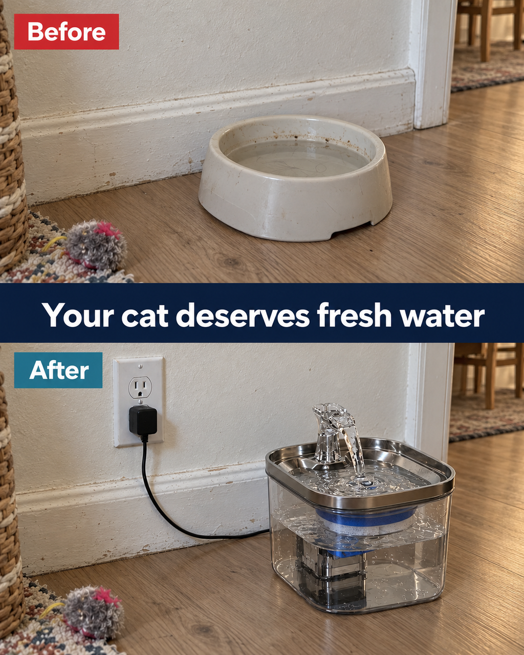Before: dirty cat water bowl. After: MewSip fountain with fresh flowing water