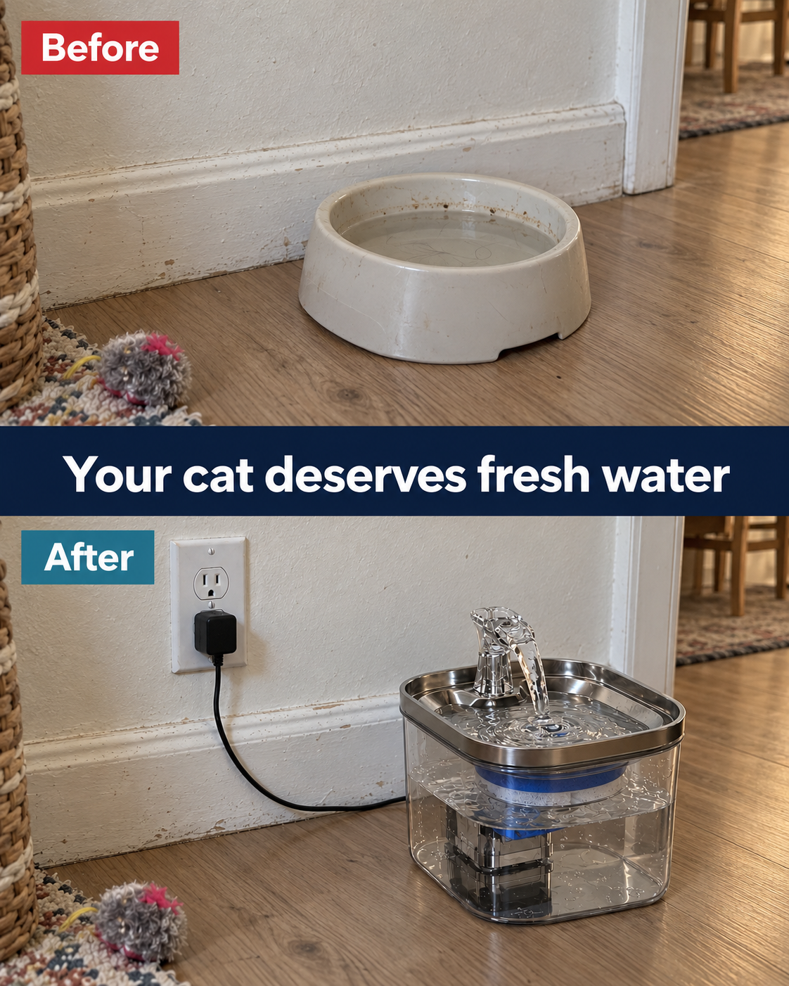 Before: dirty cat water bowl. After: MewSip fountain with fresh flowing water